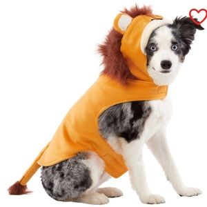 Dogs Lion Costume- Available In Various Sizes